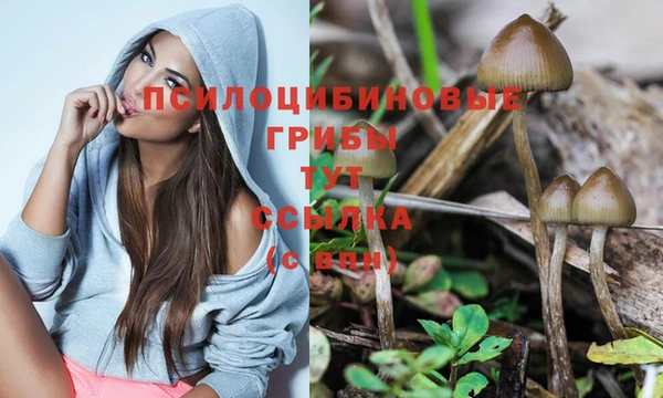 гашишное масло Абинск