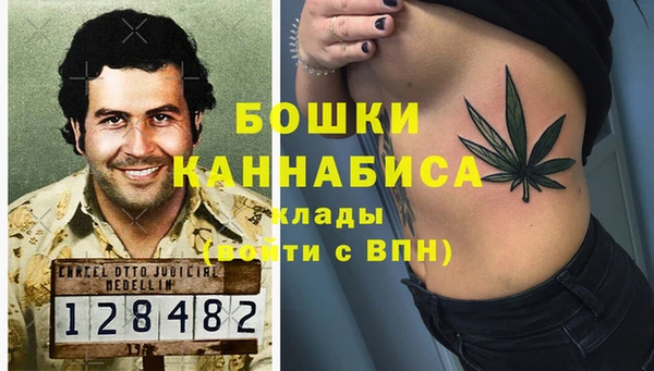 ГАЛЛЮЦИНОГЕННЫЕ ГРИБЫ Нефтекумск