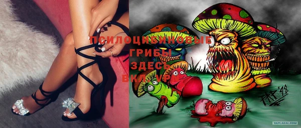 МДПВ Нефтегорск