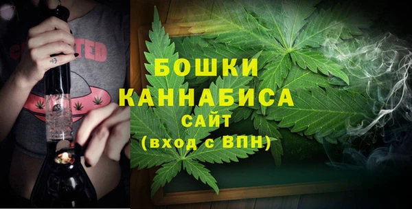 ГАЛЛЮЦИНОГЕННЫЕ ГРИБЫ Нефтекумск